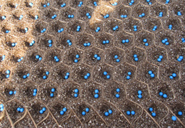 鉄コーティング